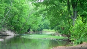 PICTURES/Manassas National Park - Virginia/t_Creek2.JPG